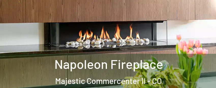 Napoleon Fireplace Majestic Commercenter II - CO