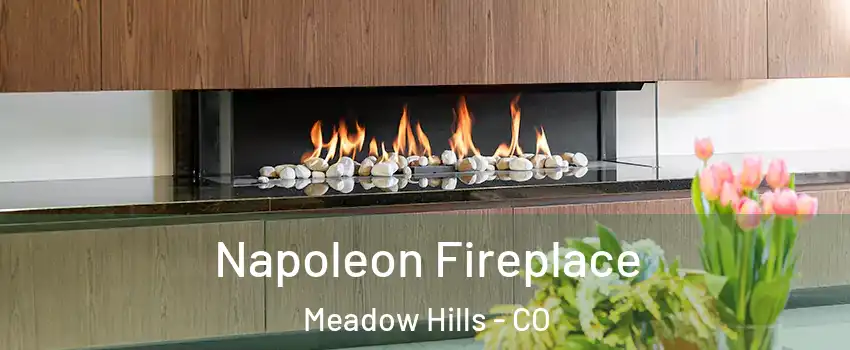 Napoleon Fireplace Meadow Hills - CO