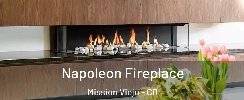 Napoleon Fireplace Mission Viejo - CO