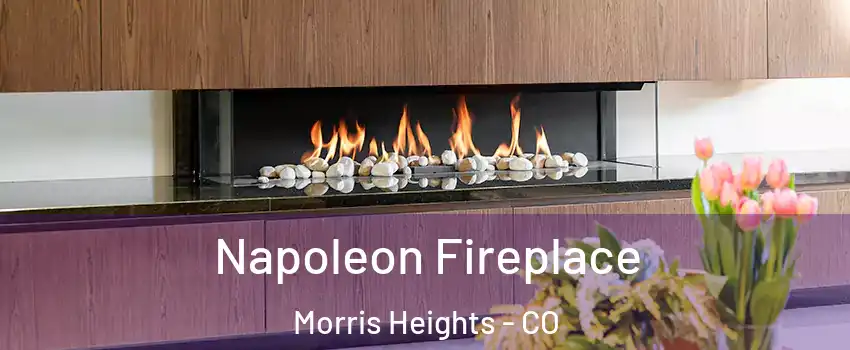 Napoleon Fireplace Morris Heights - CO