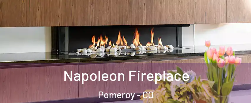 Napoleon Fireplace Pomeroy - CO