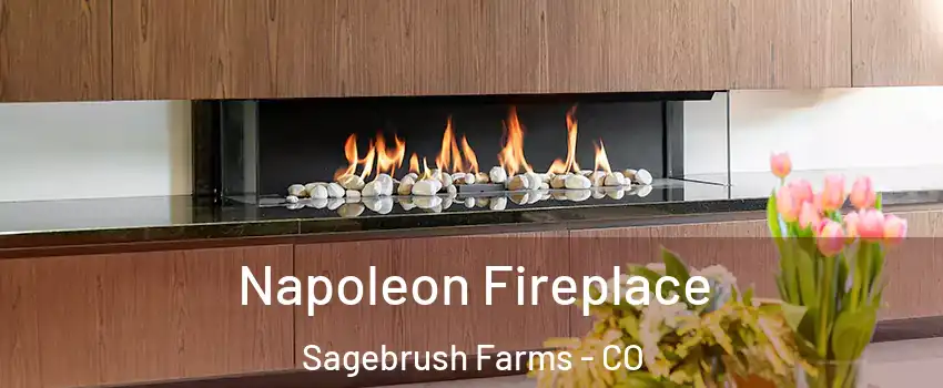 Napoleon Fireplace Sagebrush Farms - CO