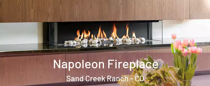 Napoleon Fireplace Sand Creek Ranch - CO