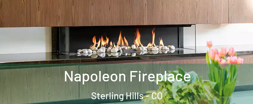 Napoleon Fireplace Sterling Hills - CO