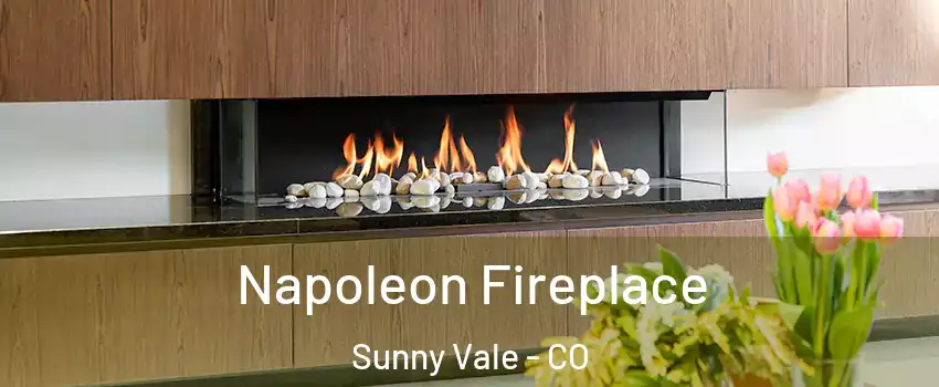 Napoleon Fireplace Sunny Vale - CO