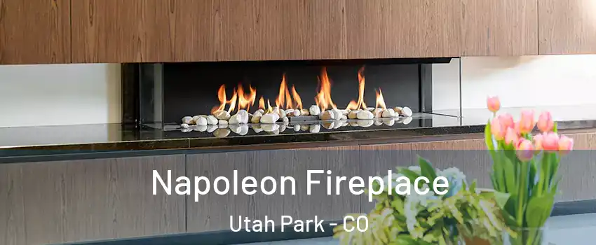 Napoleon Fireplace Utah Park - CO