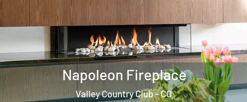 Napoleon Fireplace Valley Country Club - CO