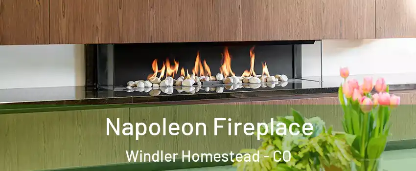 Napoleon Fireplace Windler Homestead - CO