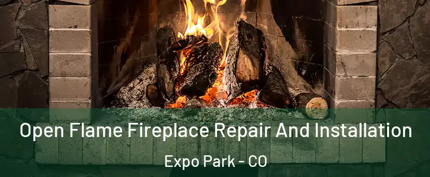 Open Flame Fireplace Repair And Installation Expo Park - CO