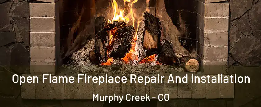 Open Flame Fireplace Repair And Installation Murphy Creek - CO