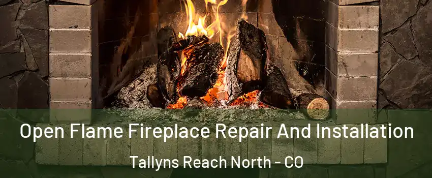 Open Flame Fireplace Repair And Installation Tallyns Reach North - CO