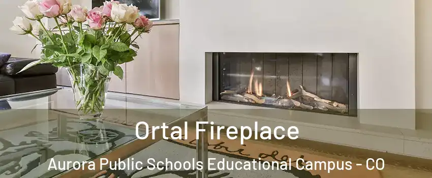 Ortal Fireplace Aurora Public Schools Educational Campus - CO