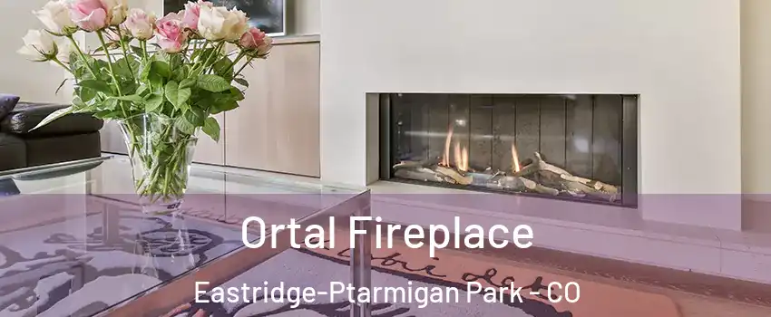 Ortal Fireplace Eastridge-Ptarmigan Park - CO