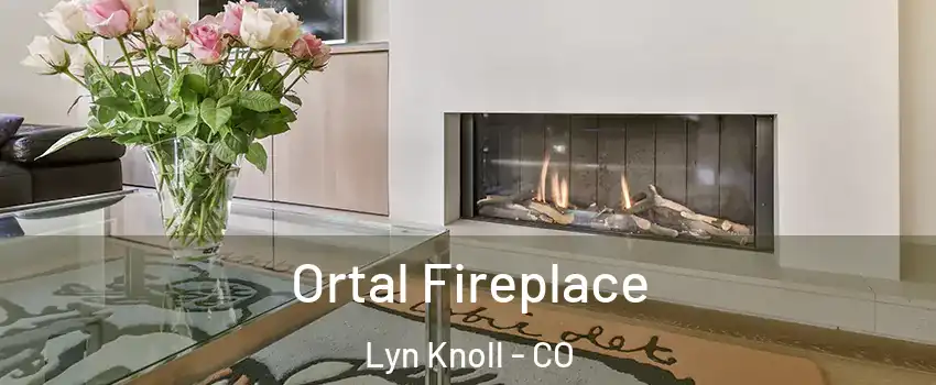 Ortal Fireplace Lyn Knoll - CO