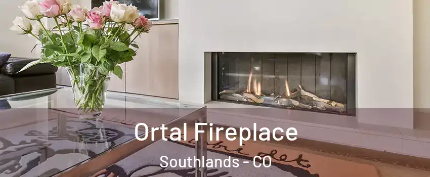 Ortal Fireplace Southlands - CO