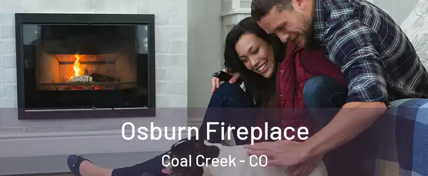 Osburn Fireplace Coal Creek - CO