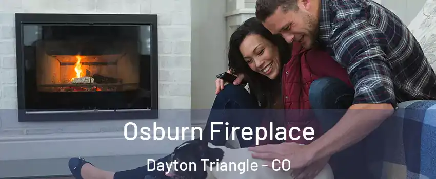 Osburn Fireplace Dayton Triangle - CO