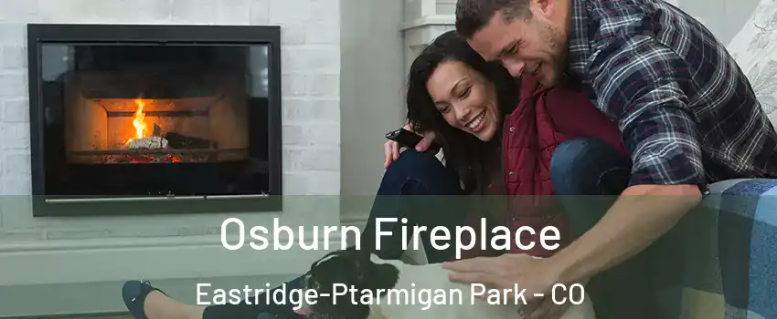 Osburn Fireplace Eastridge-Ptarmigan Park - CO