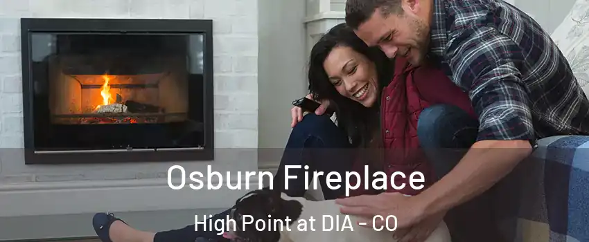 Osburn Fireplace High Point at DIA - CO