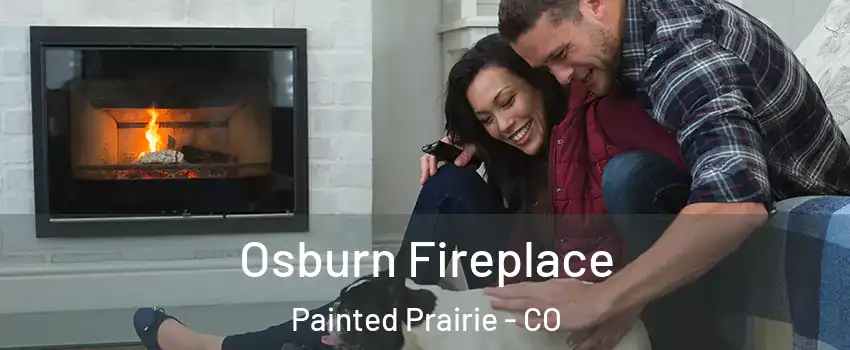 Osburn Fireplace Painted Prairie - CO