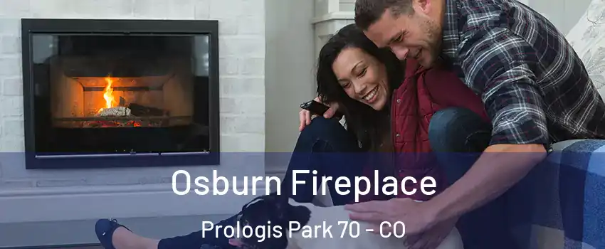 Osburn Fireplace Prologis Park 70 - CO