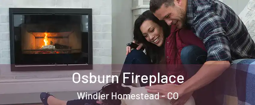 Osburn Fireplace Windler Homestead - CO