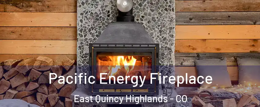 Pacific Energy Fireplace East Quincy Highlands - CO