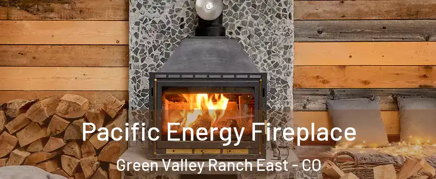 Pacific Energy Fireplace Green Valley Ranch East - CO