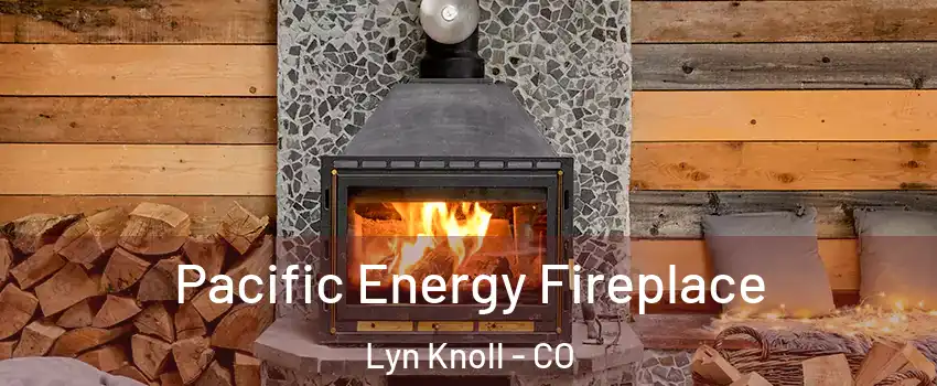 Pacific Energy Fireplace Lyn Knoll - CO