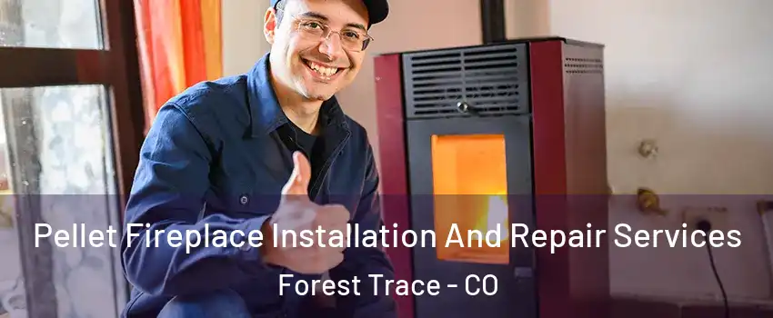 Pellet Fireplace Installation And Repair Services Forest Trace - CO