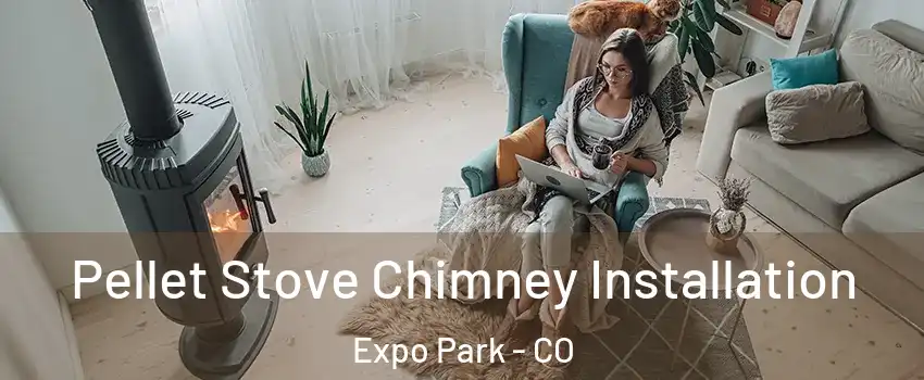 Pellet Stove Chimney Installation Expo Park - CO