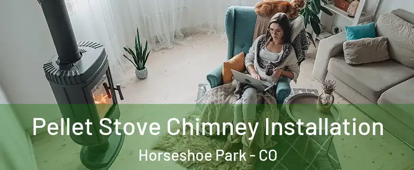 Pellet Stove Chimney Installation Horseshoe Park - CO