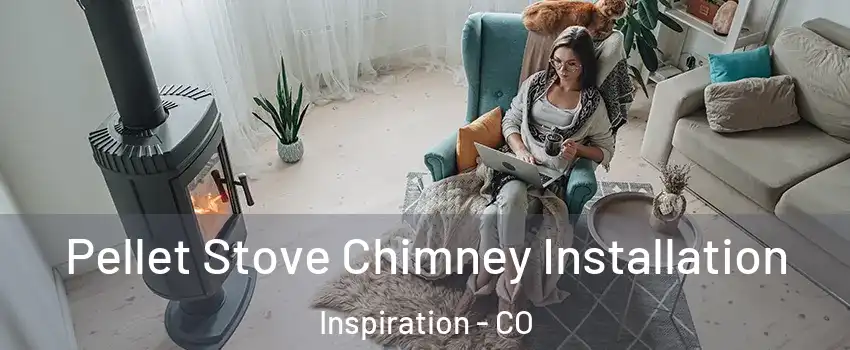 Pellet Stove Chimney Installation Inspiration - CO