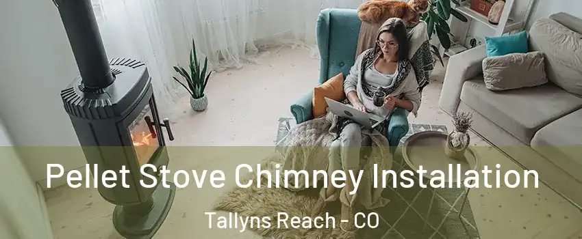 Pellet Stove Chimney Installation Tallyns Reach - CO