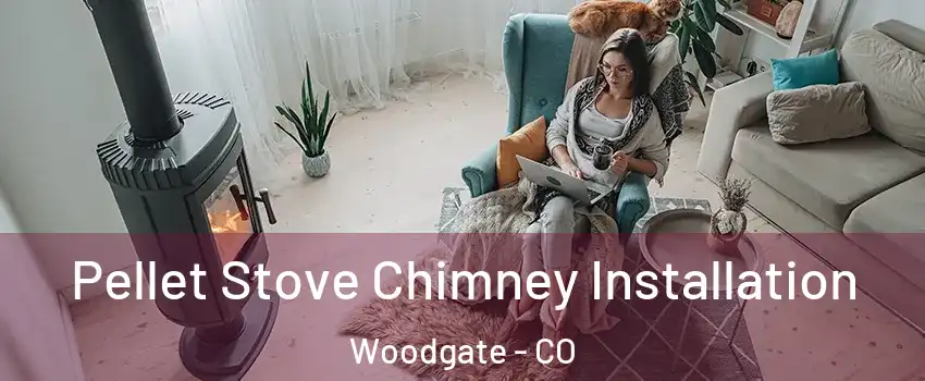 Pellet Stove Chimney Installation Woodgate - CO