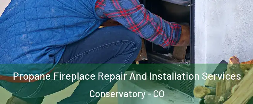 Propane Fireplace Repair And Installation Services Conservatory - CO