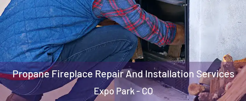 Propane Fireplace Repair And Installation Services Expo Park - CO