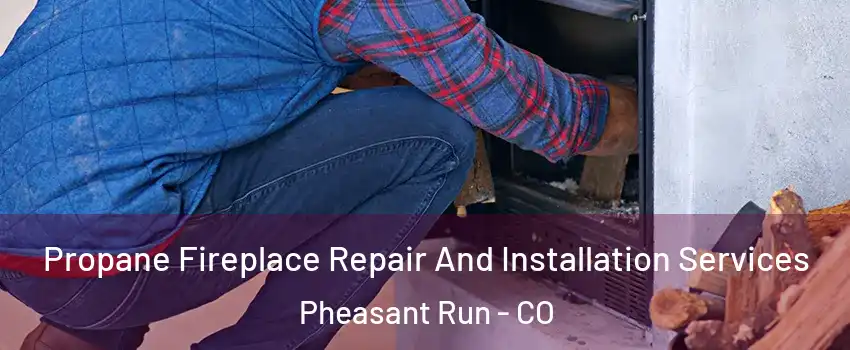 Propane Fireplace Repair And Installation Services Pheasant Run - CO