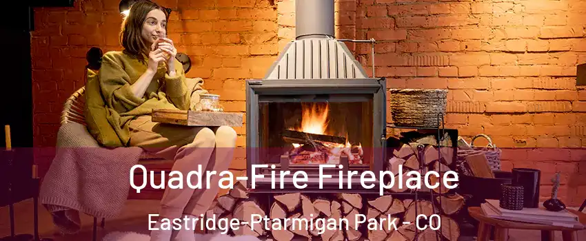 Quadra-Fire Fireplace Eastridge-Ptarmigan Park - CO