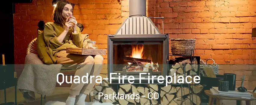 Quadra-Fire Fireplace Parklands - CO