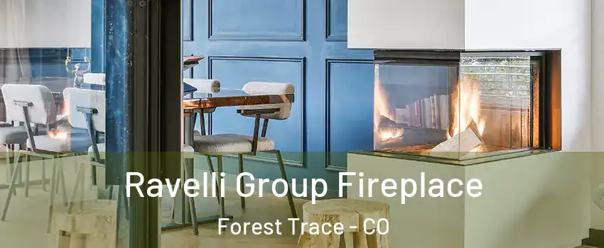 Ravelli Group Fireplace Forest Trace - CO