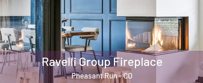 Ravelli Group Fireplace Pheasant Run - CO