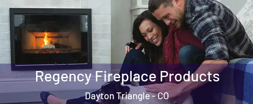 Regency Fireplace Products Dayton Triangle - CO