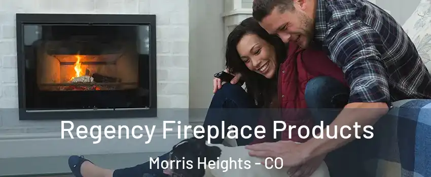 Regency Fireplace Products Morris Heights - CO