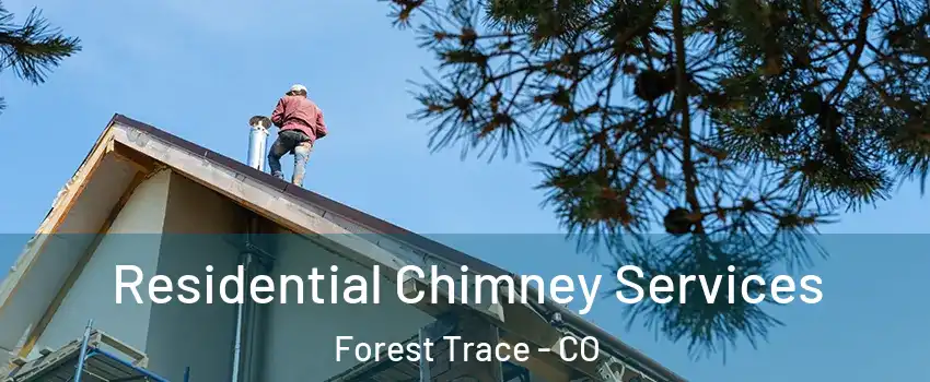 Residential Chimney Services Forest Trace - CO