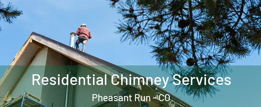 Residential Chimney Services Pheasant Run - CO