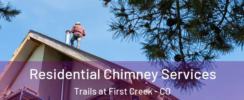 Residential Chimney Services Trails at First Creek - CO