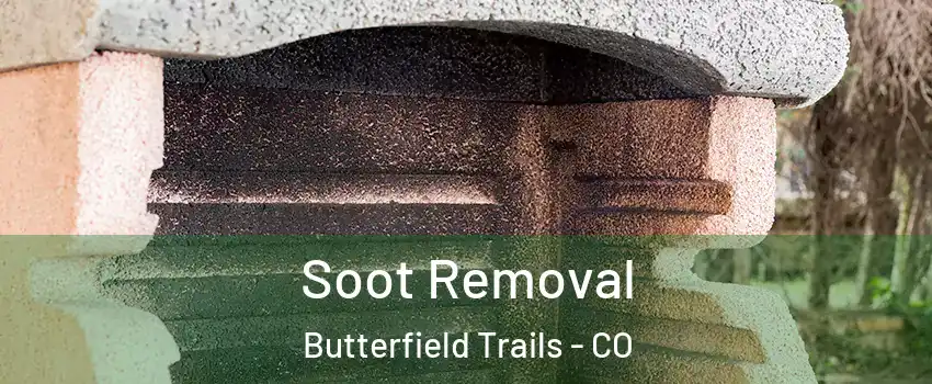 Soot Removal Butterfield Trails - CO