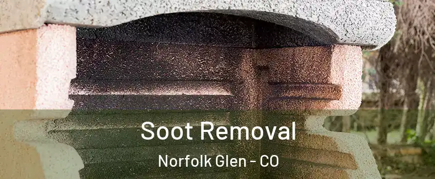 Soot Removal Norfolk Glen - CO