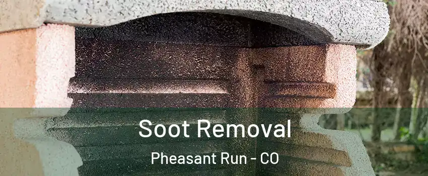 Soot Removal Pheasant Run - CO